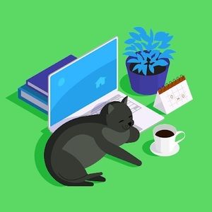 Meet your Posher, Austin